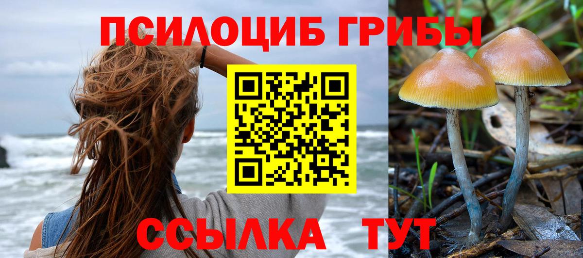 Ачхой-Мартан  Галлюциногенные грибы MAGIC MUSHROOMS  Вход с VPN 